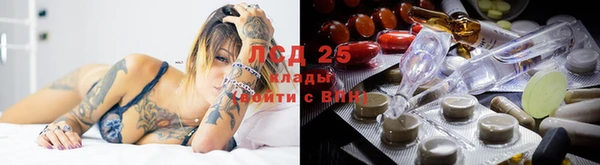сатива Арсеньев