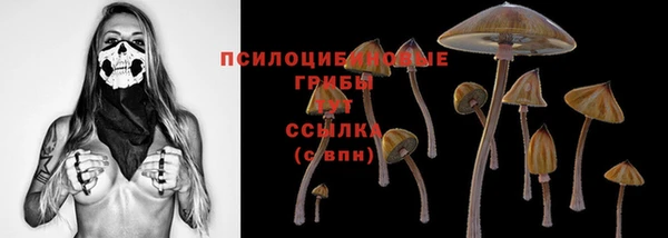 марки nbome Аркадак