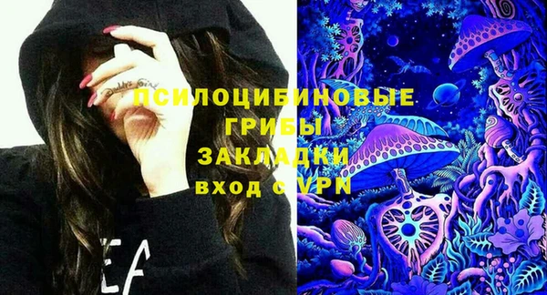 сатива Арсеньев