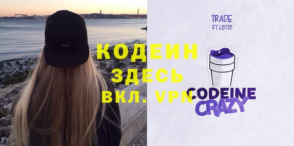 сатива Арсеньев