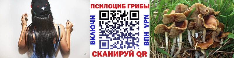 Галлюциногенные грибы MAGIC MUSHROOMS  Белокуриха 
